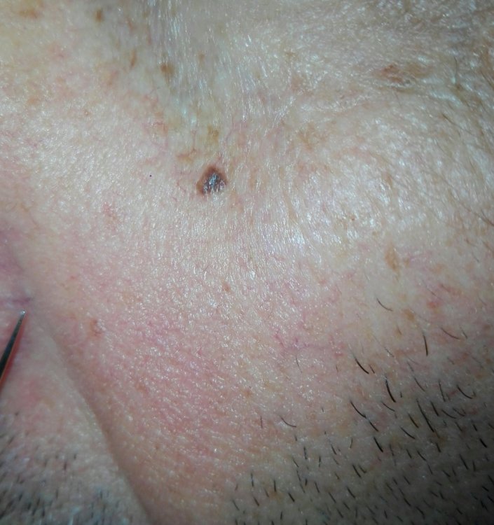 IMG_20201220_172733.jpg