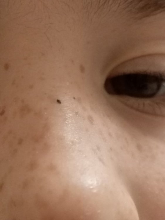 IMG_20201220_181002.jpg