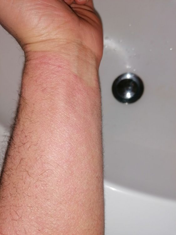 IMG_20201221_132057.jpg