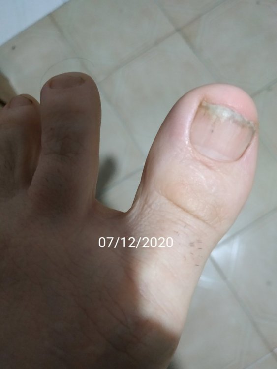 thumbnail_IMG_20201207_005128.jpg