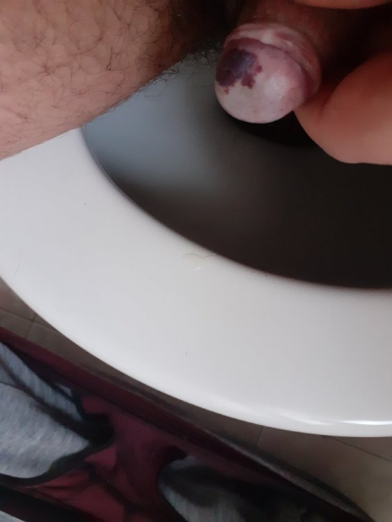 16098550282352939741379594878402.thumb.jpg.d225246c4977a81d4795414c20dcf446.jpg