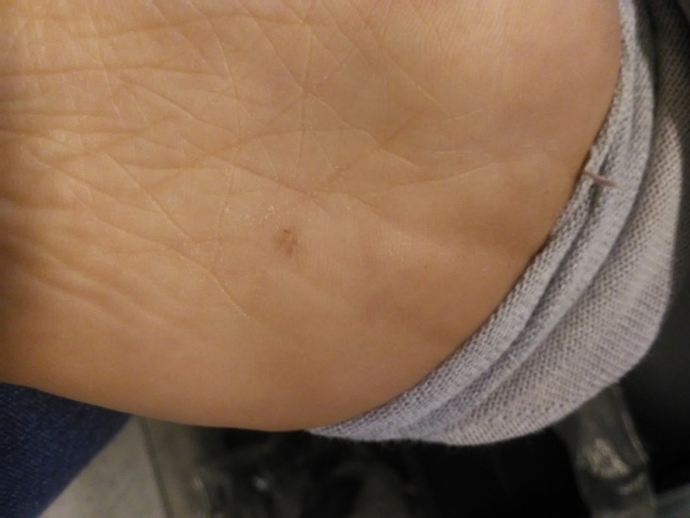 20210121_171627.thumb.jpg.ec79f0aa202930f511a23f15a091a7de.jpg