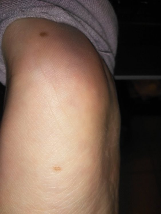 20210121_171711.thumb.jpg.b110533631ae69938cfb188173a80b32.jpg