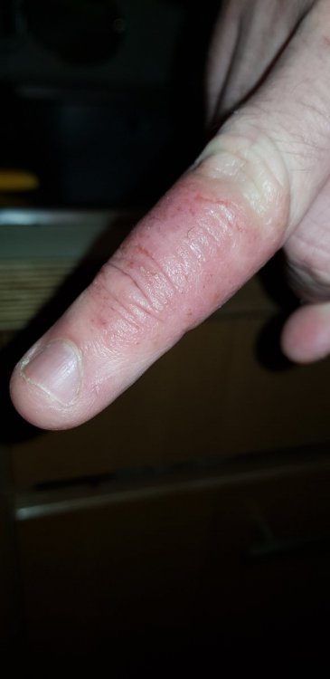20210128_184645.jpg
