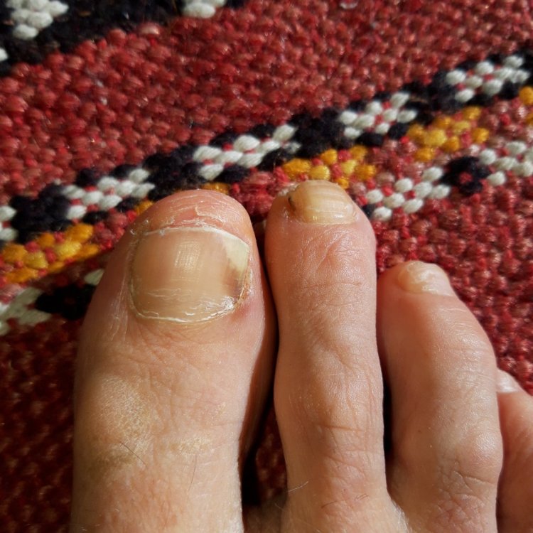 20210129_125015.thumb.jpg.e239b886c39b3760f4b1b15c1ada6a35.jpg