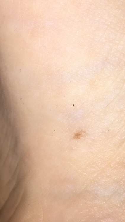 C7B4ABF6-F22F-4784-8410-D73581FF31DE.png