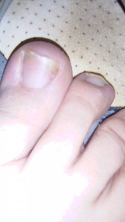 IMG-20210116-WA0009.jpeg
