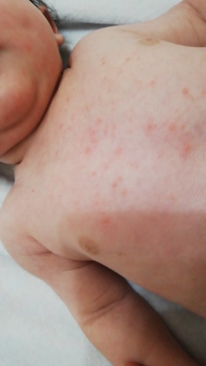 IMG-20210120-WA0037.jpeg