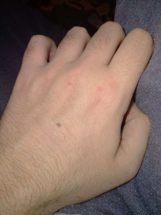 IMG20210124191535.jpg