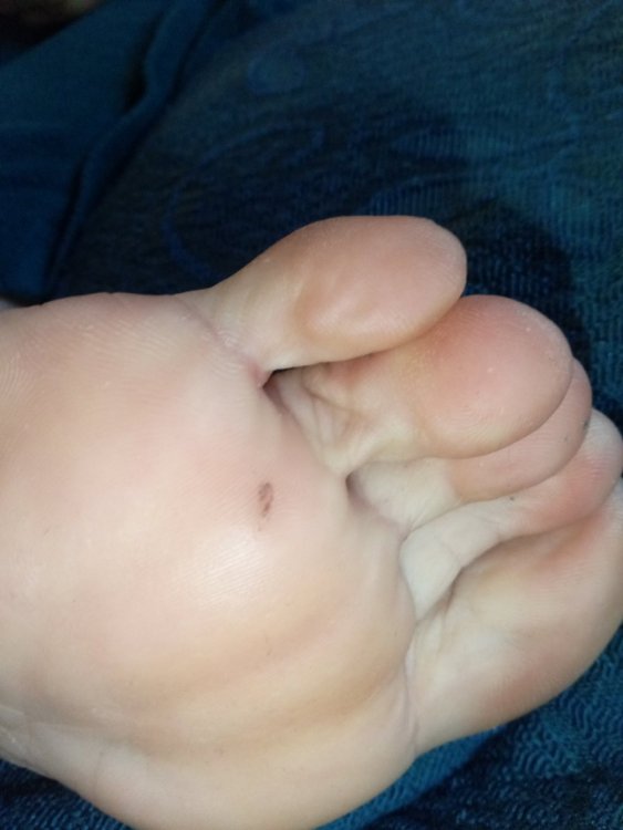 IMG_20210107_091119.jpg