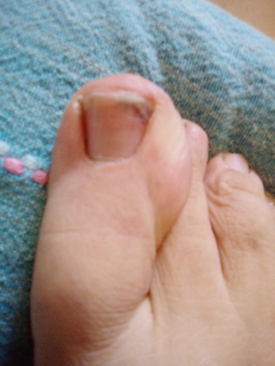 IMG_20210107_134419364.thumb.jpg.8581c14ce00c9cd7ae18dbbdf12b10e9.jpg