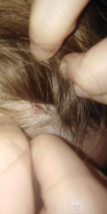 Screenshot_20210103-193518.jpg