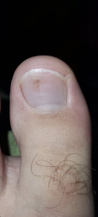 Screenshot_20210119-124717_Gallery.thumb.jpg.72b4c086f711d30a803e26be1bfca1aa.jpg