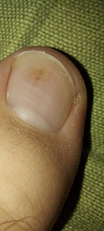 Screenshot_20210120-150519_Gallery.thumb.jpg.5d2ba84e4330afff7f560123204d34c0.jpg