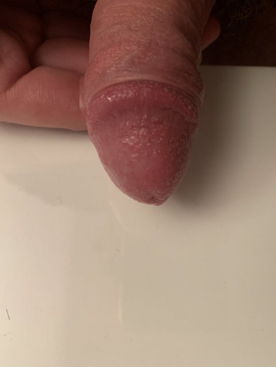 image.thumb.jpg.bb5535fc138c987d50d84982eb9fa140.jpg