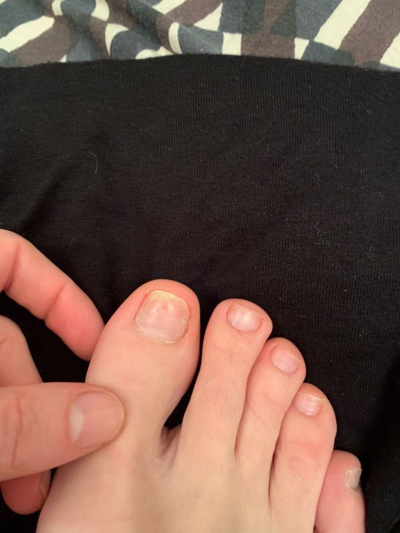 1613507415215.jpg