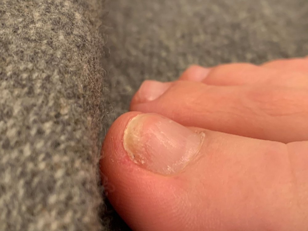 1613507415220.jpg