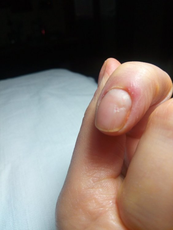 16144651112261889773720.thumb.jpg.b846eef2e477cd260f9d9a13e22084b7.jpg