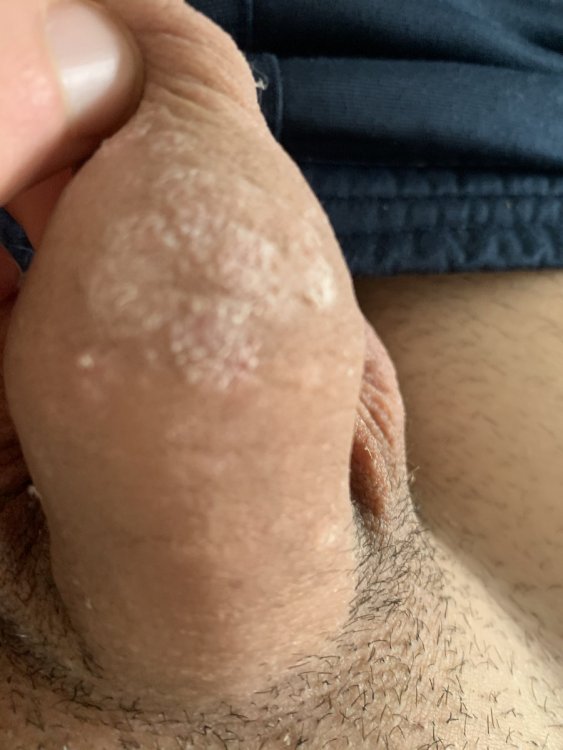 E74842D7-8C52-4A09-BE8A-1804E897209B.jpeg