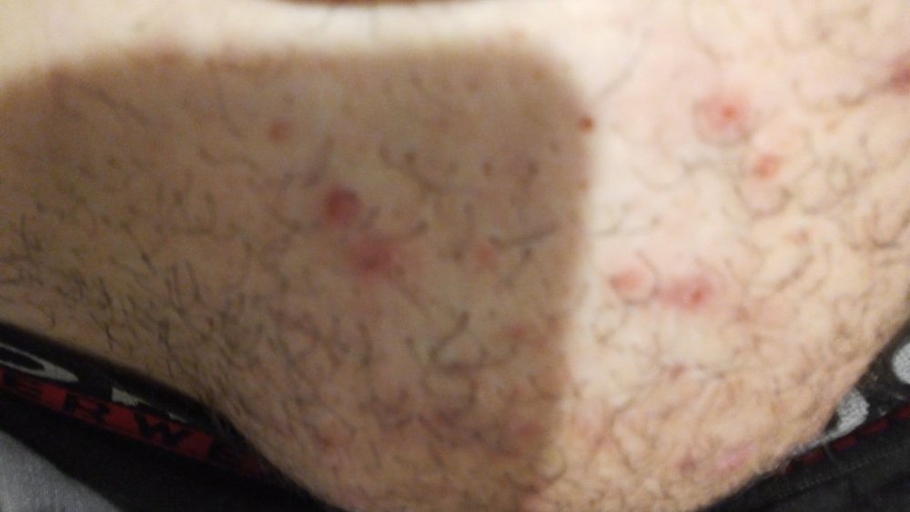 IMG-20210215-WA0029.jpeg