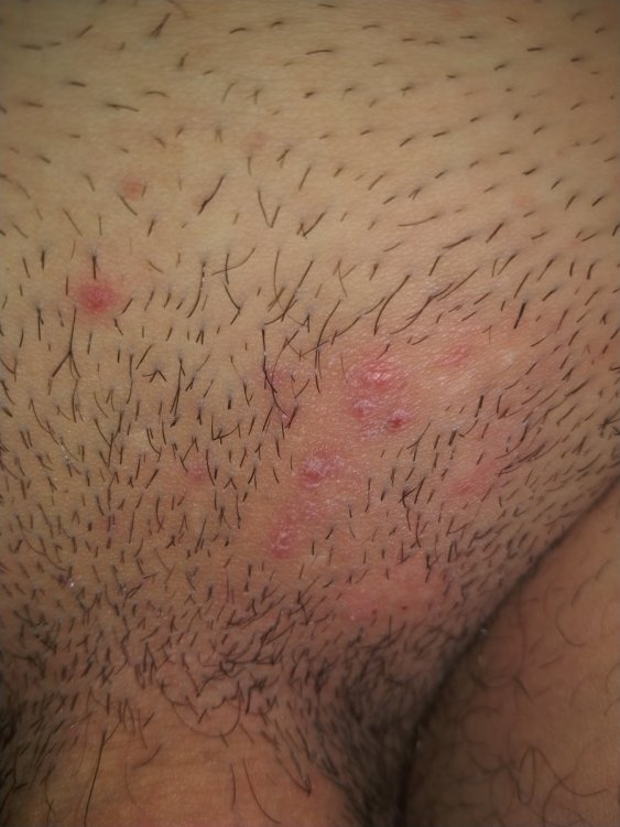 IMG20210217074027.jpg