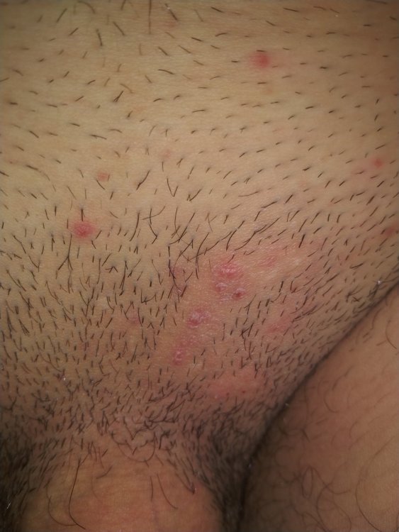 IMG20210217074031.jpg