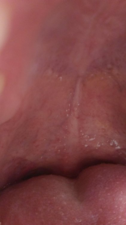 P_20210220_142641_SRES.jpg