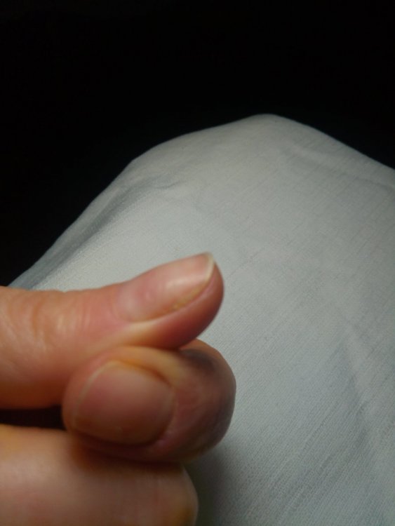 P_20210227_224811.thumb.jpg.2459c2fc75029da6119f39c2a79d374a.jpg