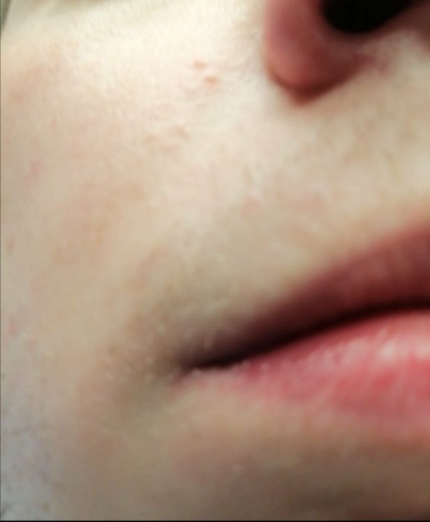 1485265799_foto3.thumb.jpeg.900325e56a404f06d4425dee896573a4.jpeg