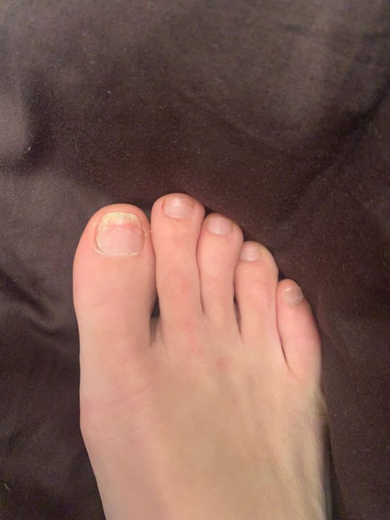 1615213450792.jpg