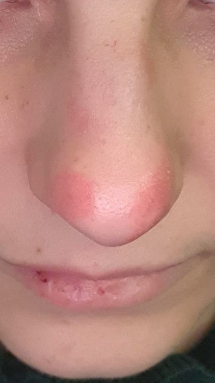 20210301_135309.thumb.jpg.9023b3dc422a23a2e1978f9b4e580c1e.jpg