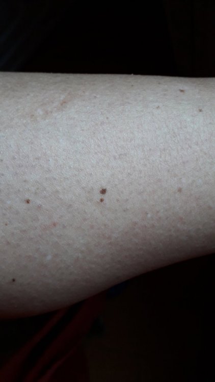 20210302_163504.thumb.jpg.e9a735ef5b907169ea0860c6b5d33bce.jpg