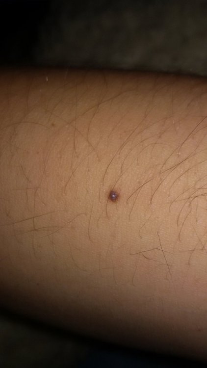 20210311_200853.jpg