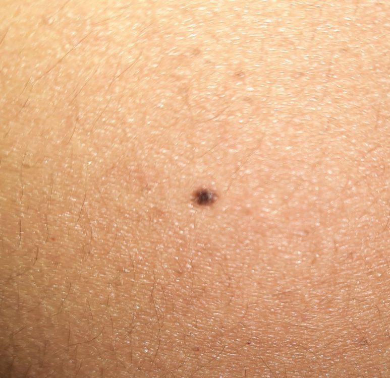 20210312_231231.jpg