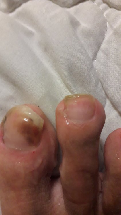 20210327_191402.thumb.jpg.7aac80e4ce0e3322e717dcce43f86964.jpg