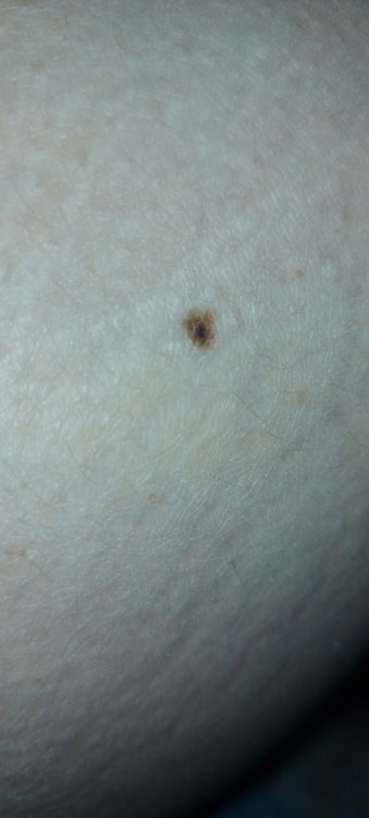 20210328_123150.thumb.jpg.0d0b2876cd6f212cf1cbb26c43320a5f.jpg