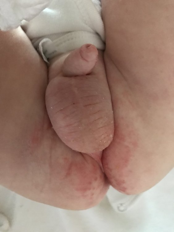 5A22E9AE-87C4-40BD-948D-1519873F247C.jpeg