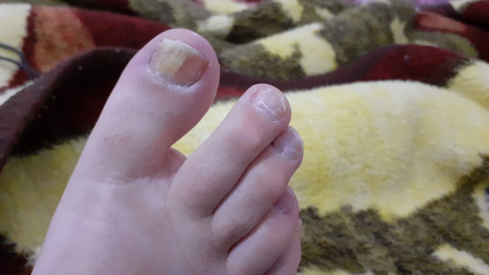 IMG-20210331-WA0009.jpeg