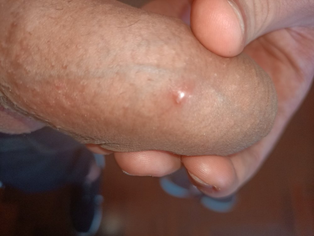 IMG20210317133502.jpg