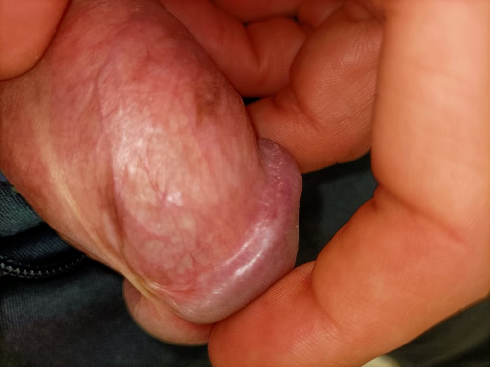 IMG20210323154025.jpg