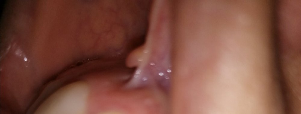 IMG_20210311_103603.jpg
