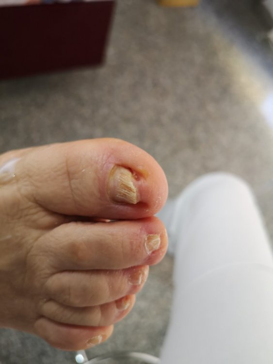 IMG_20210311_113721.jpg