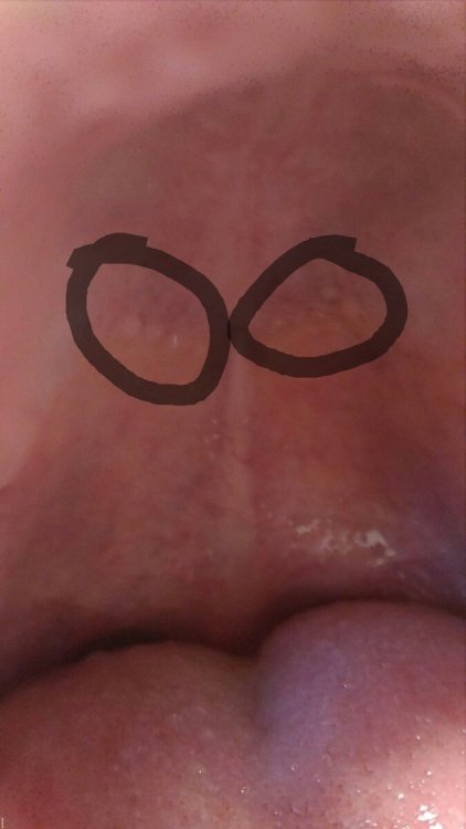 P_20210220_142705_SRES.jpg.a2243213b0c88fbc2600d7acc7b95302_1.jpg