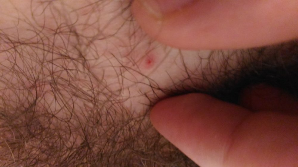 P_20210305_215652.thumb.jpg.b4ac2c290a54bfd7b0cf35ab14a506b2.jpg