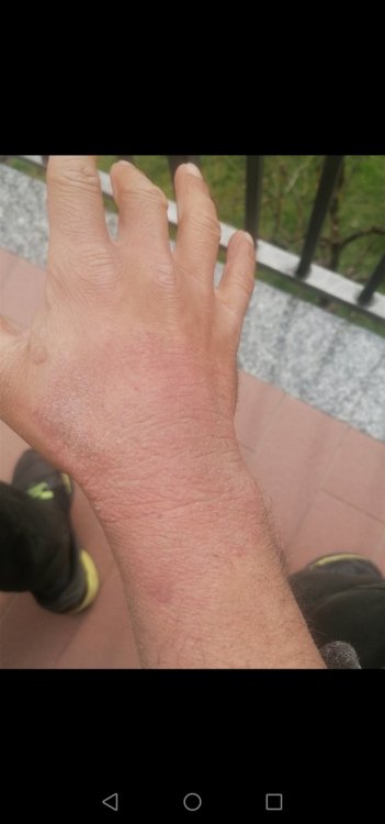Screenshot_20210311_131642_com.android.gallery3d.jpg