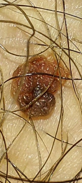 Screenshot_20210315-224824_Gallery.jpg