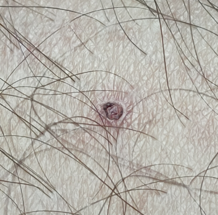 neo.thumb.png.4c6b82f10e8b914b1c3f5dd50e66db01.png