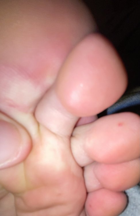 1B6EFCD6-BABA-4804-8359-D63EA6346DE0.thumb.jpeg.945042300040b4ec0e1bce691c5ed8c8.jpeg