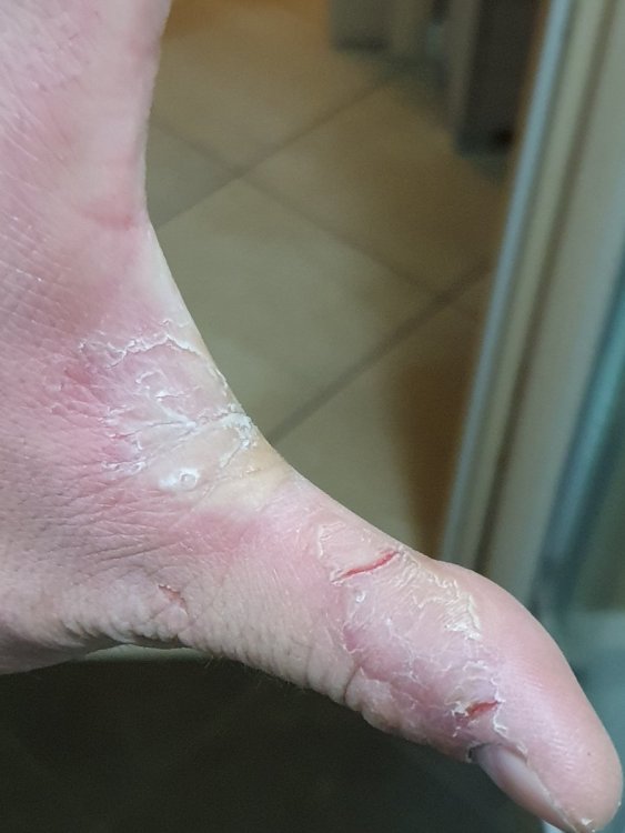 20210408_214732.thumb.jpg.e1d94a6d841ca06c9fa1b6954392391e.jpg