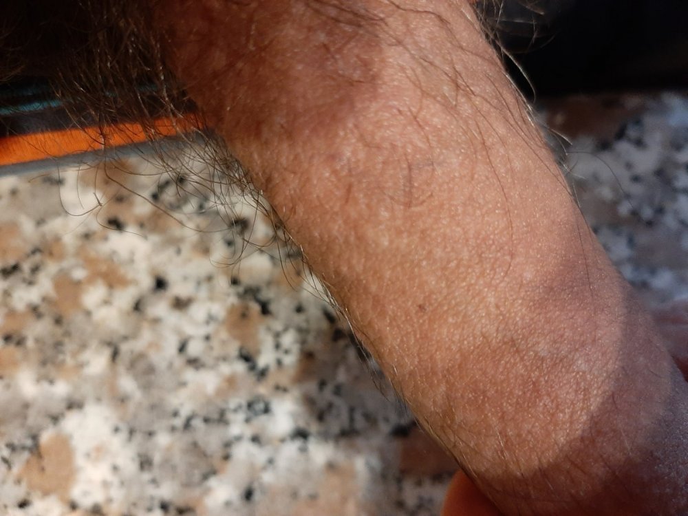 20210417_190558.jpg
